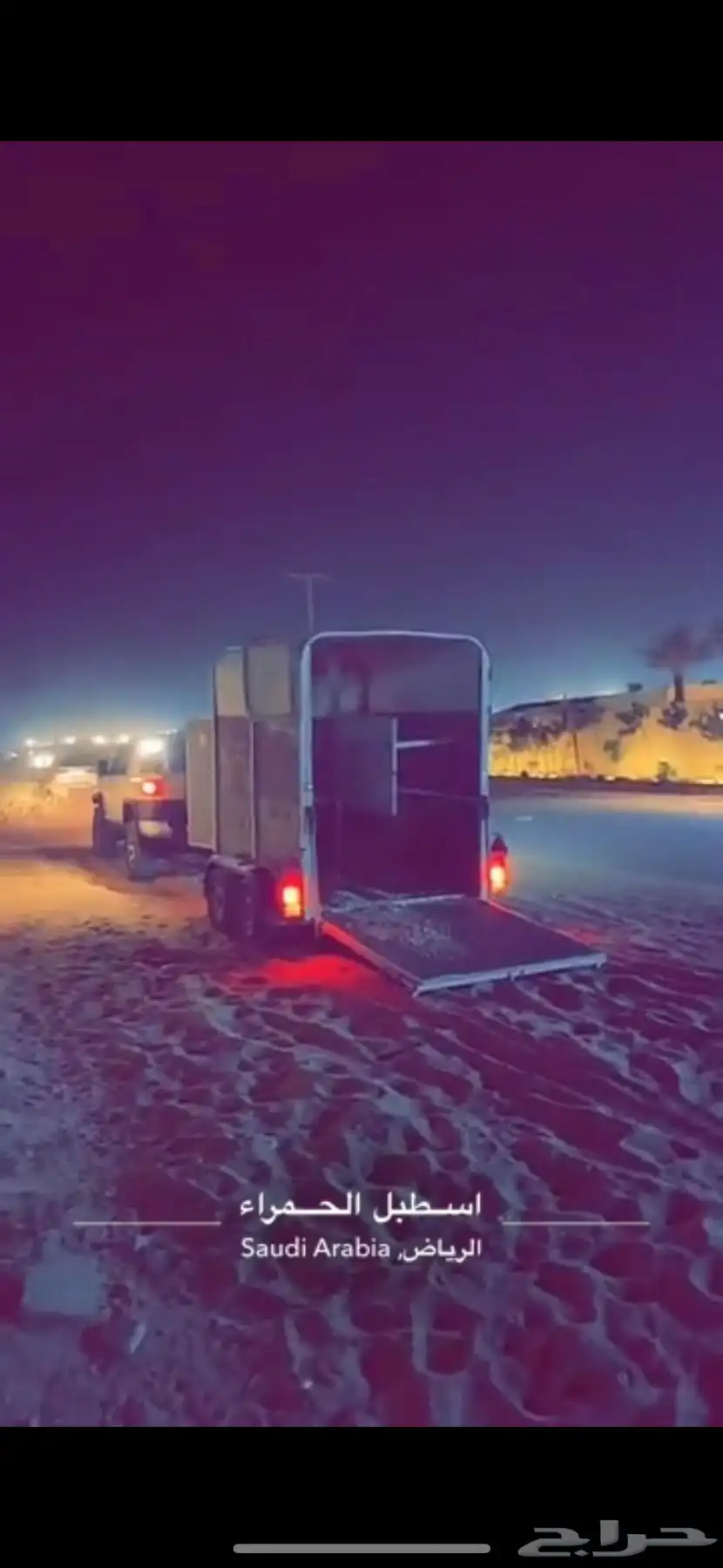 عربة راسين لنقل الخيل داخل المملكه ( فور وليام)مستورده 2