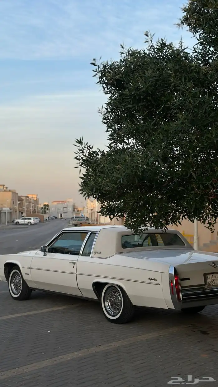 نشتري اي لوحة مميزة سواء عليك مخالفات او تطويف 0
