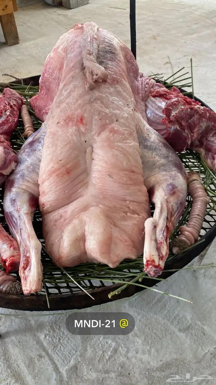 طبخ للمناسبات والعزائم حنيذ بالمرخ الجنوبي 1