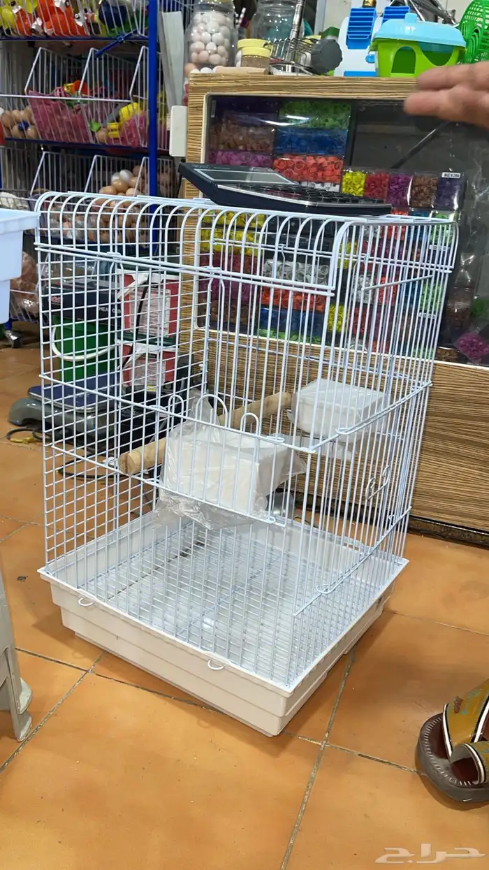 متجر مودي للحيوانات الاليفة 54