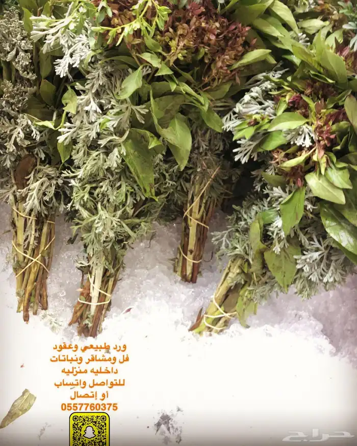 فل عقود للعرسان وورود طبيعيه وشتلات للتواصل اتصال أوواتساب 89