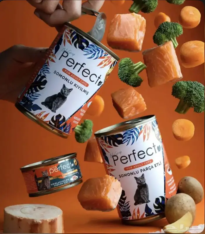 متجر مودي للحيوانات الاليفة 14