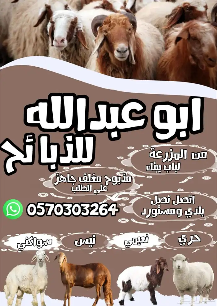 ذبايح ابو عبدلله بلدي ومستور 1