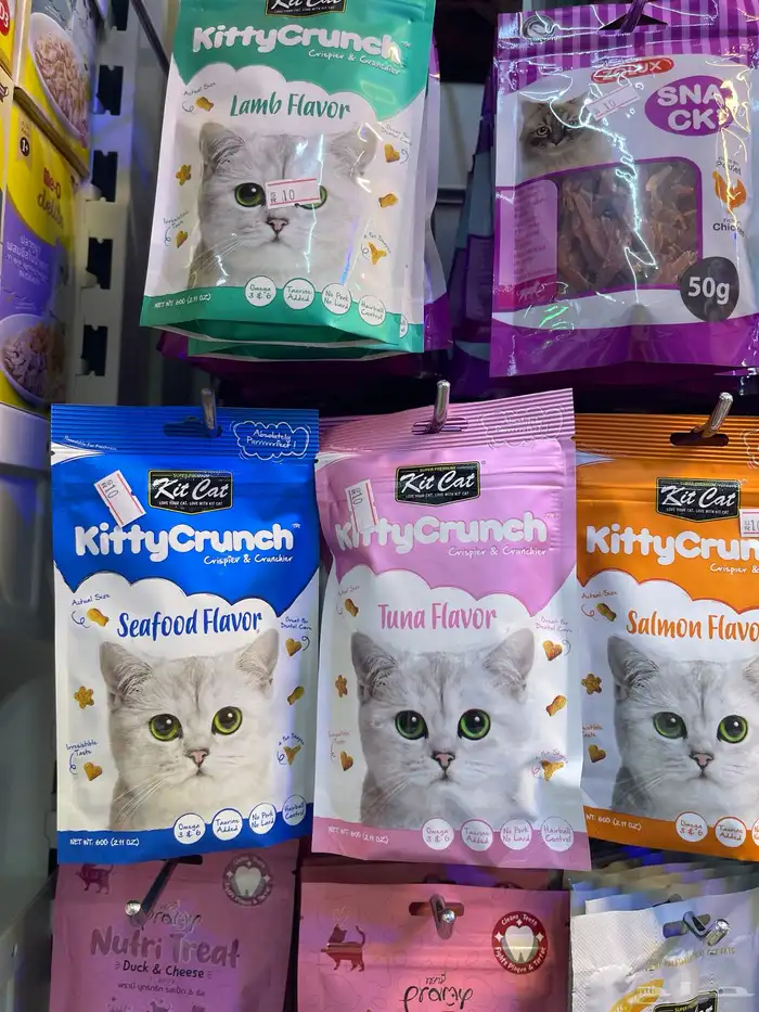 متجر مودي للحيوانات الاليفة 30