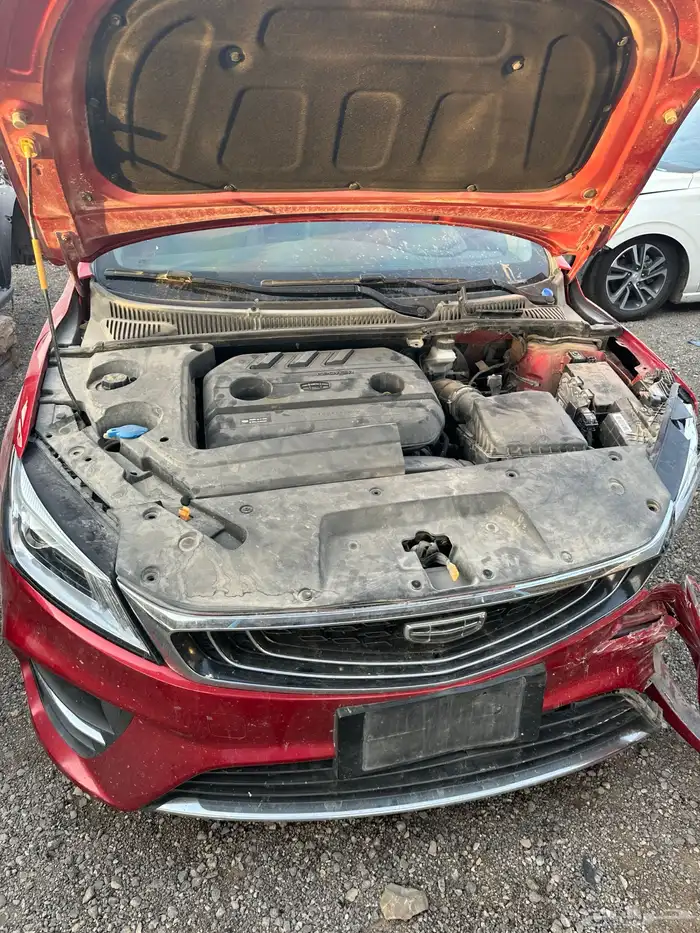 جيلي بينراي موديل 2020 5