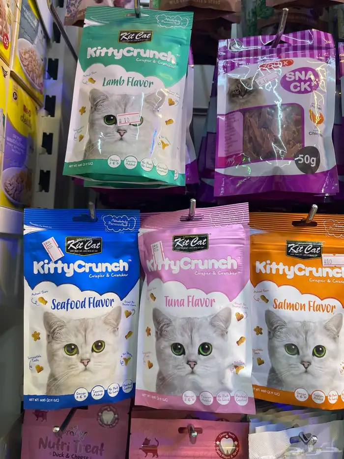 متجر مودي للحيوانات الاليفة 31