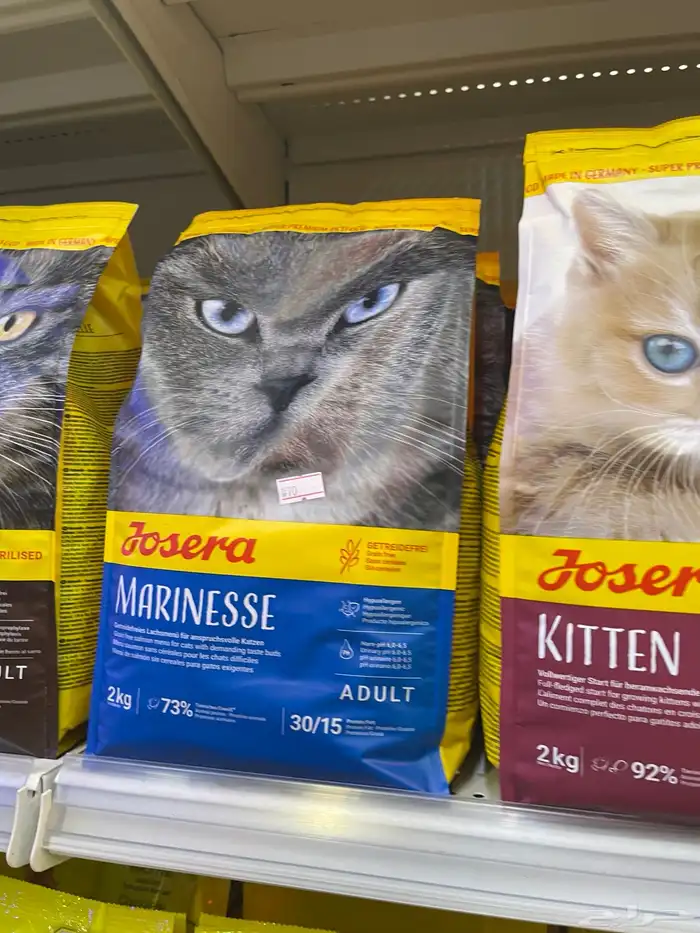 متجر مودي للحيوانات الاليفة 41