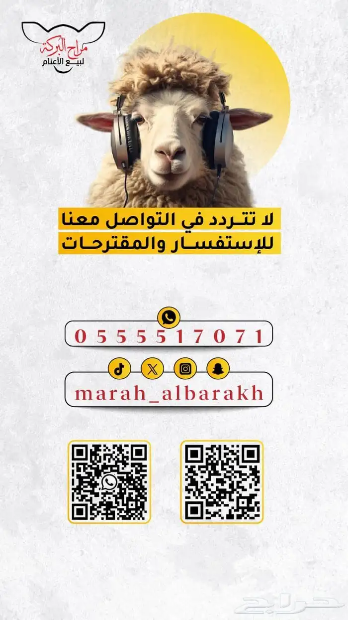 ذبيحتك لباب بيتك تيوس وطليان حري وسواكني تربية 77
