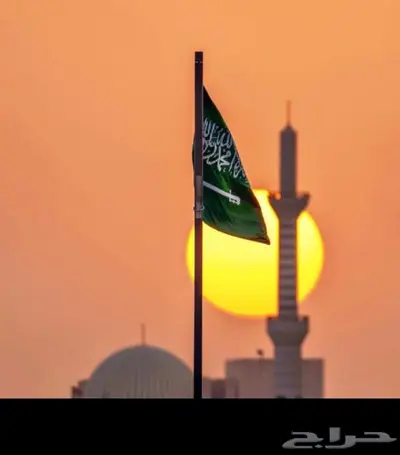 Saudi Engineer Gosi مهندس سعودي 0