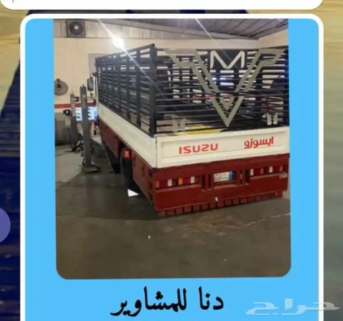 عقلة الصقور 0