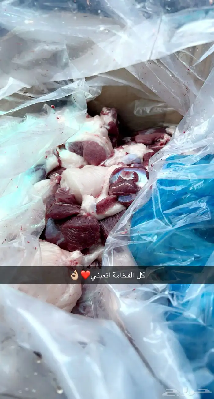 ذبايح ابو عبدلله بلدي ومستور 10