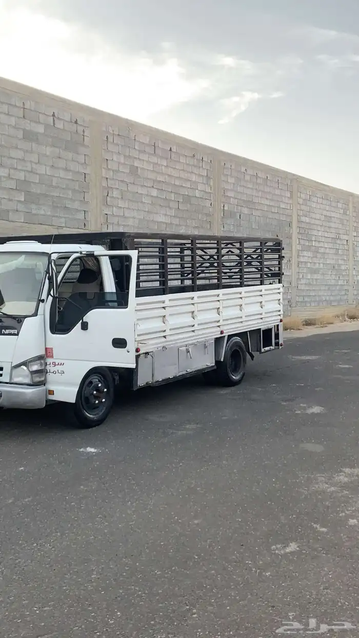 دينة اسيزو للايجار الشهري 0