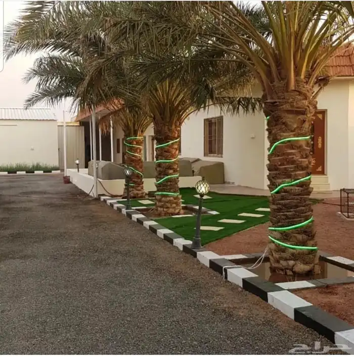 منتجع الياسمين للإيجار اليومي حائل القاعد 15