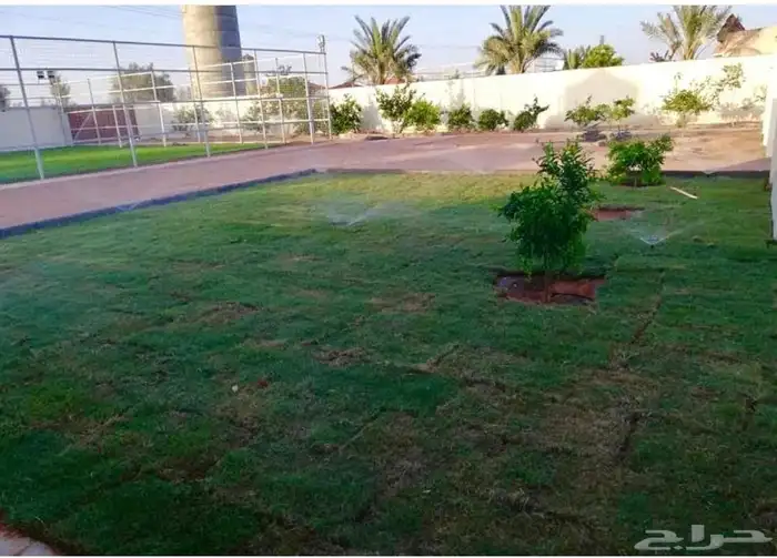 منتجع الياسمين للإيجار اليومي حائل القاعد 41