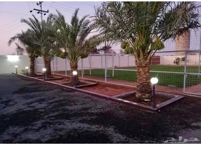 منتجع الياسمين للإيجار اليومي حائل القاعد 6