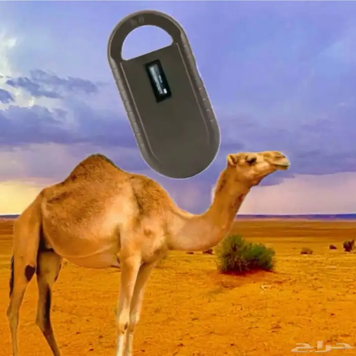جهاز قارئ شرائح الابل 0