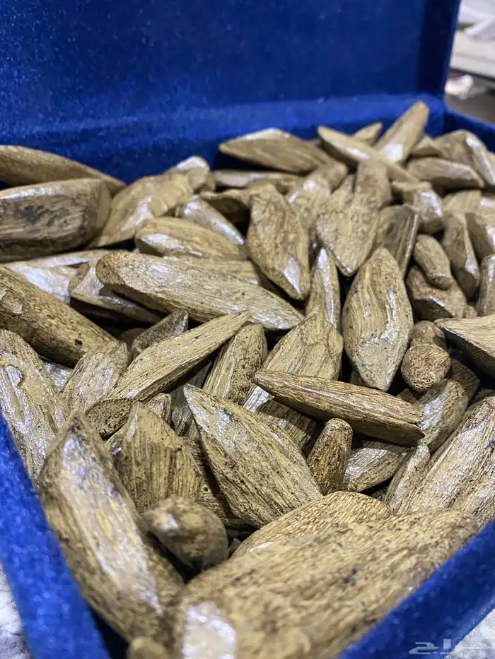 عود بخور موروكي سوبر ملكي لجميع المناسبات 1