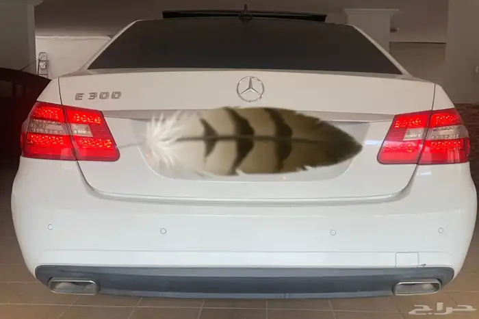 تم البيع   تم البيع . لعشاق النظيف مرسيدس E300 موديل 2012 4