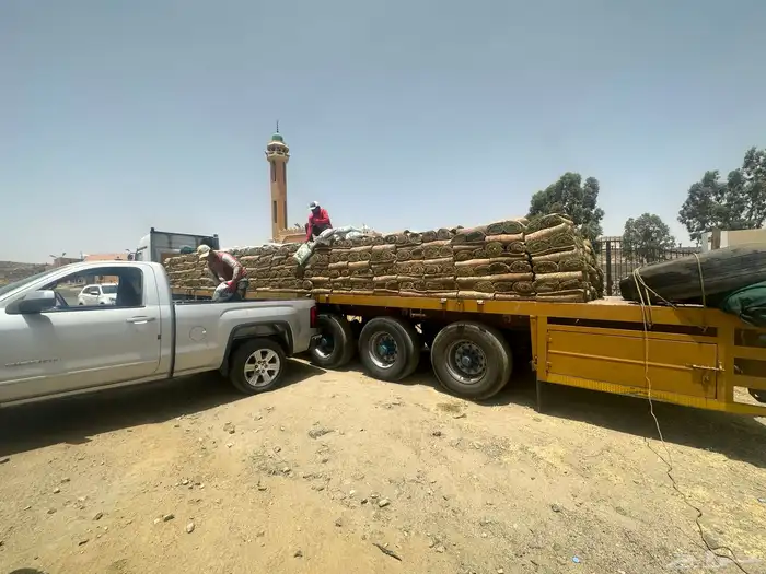 عشب طبيعي C2000 0