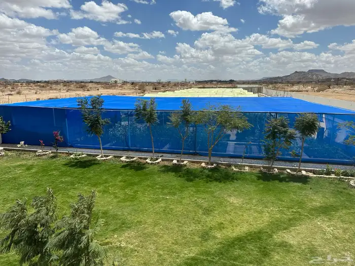 عشب طبيعي C2000 3