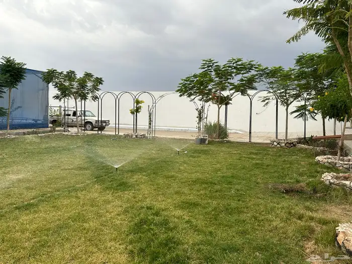 عشب طبيعي C2000 5