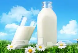 حليب بقر طازج الموقع الزلفي 0