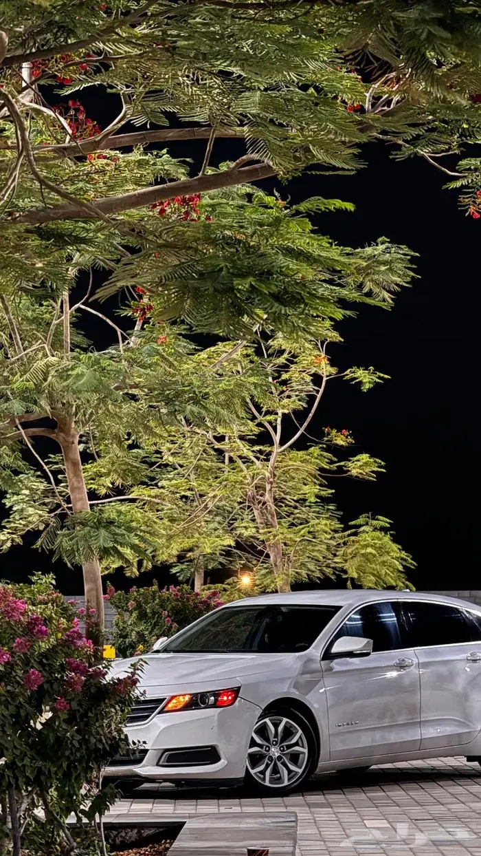 امبالا 2016 LT2 5