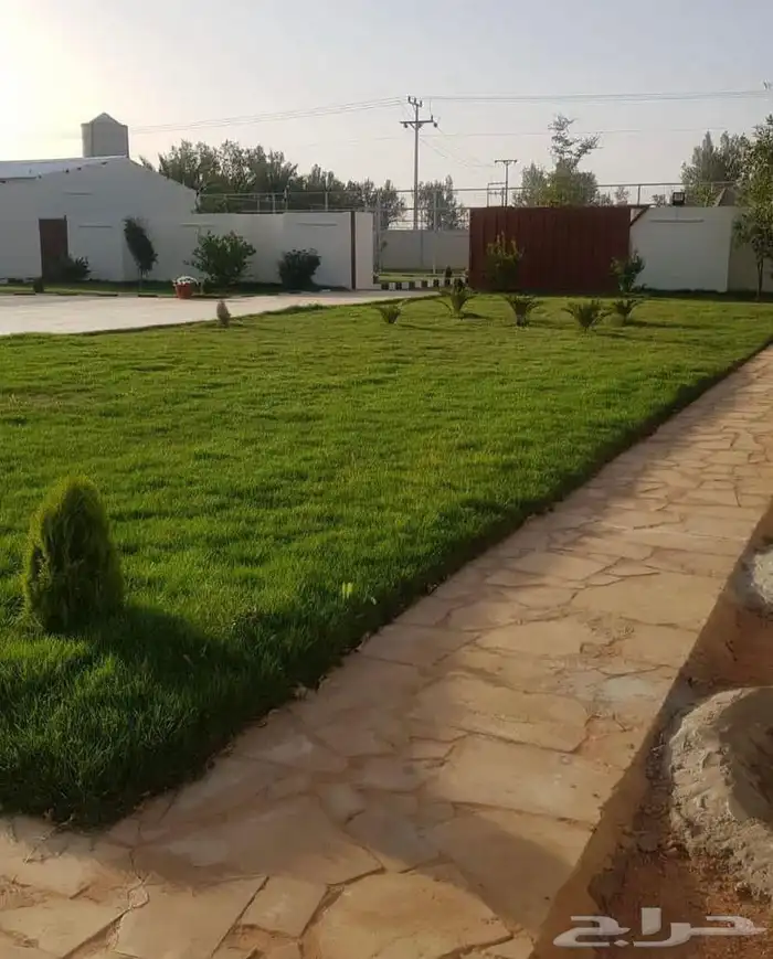 منتجع الياسمين للإيجار اليومي حائل القاعد 26