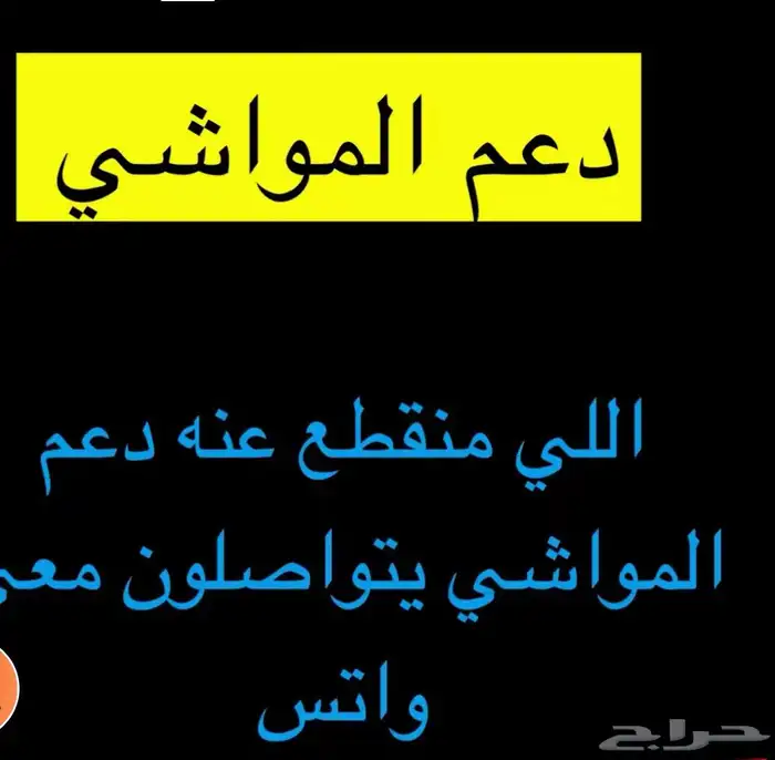 رفع ترقيم دعم المواشي 13