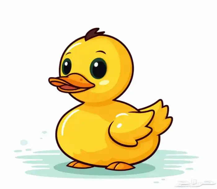 متجر بط Modi Birds 0