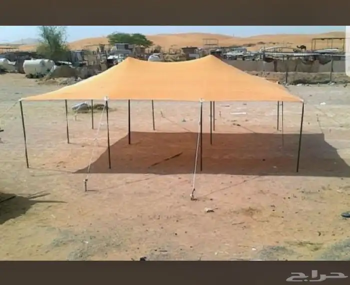 مضلات ابل مضلات اغنام 21