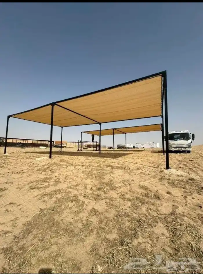مضلات ابل مضلات اغنام 14