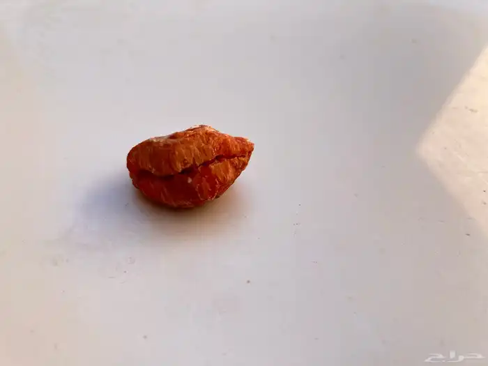أحجار طبيعية بأشكال مميزة ونادره 5