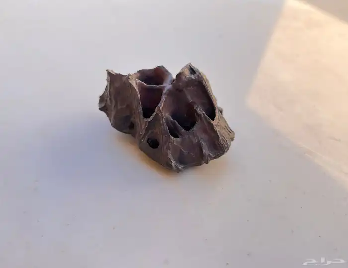 أحجار طبيعية بأشكال مميزة ونادره 0