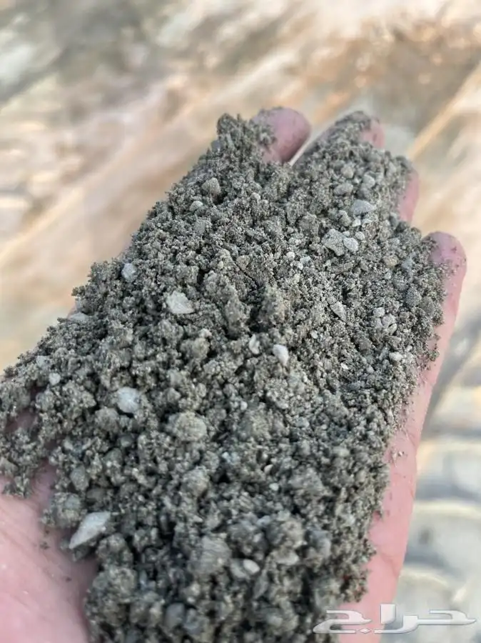 بطحاء الرياض 2