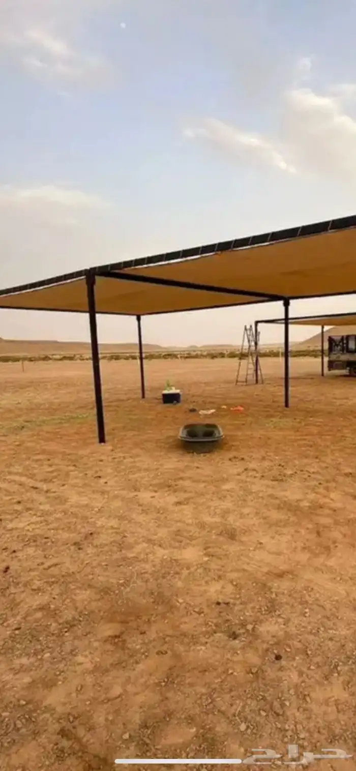 مضلات ابل مضلات اغنام 0
