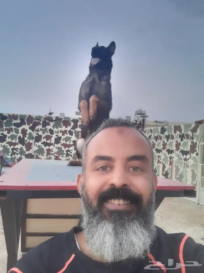 مدرب كلاب وتعديل سلوك 0