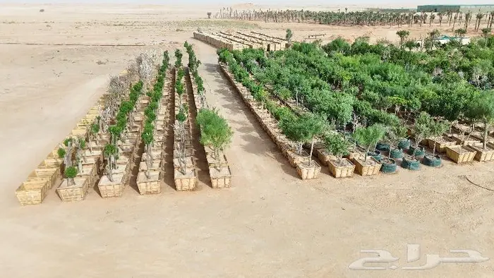 مصور درون للمشايع والعقارات وشركات المقاولات الدمام الاحساء 2