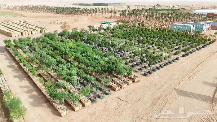 مصور درون للمشايع والعقارات وشركات المقاولات الدمام الاحساء 4