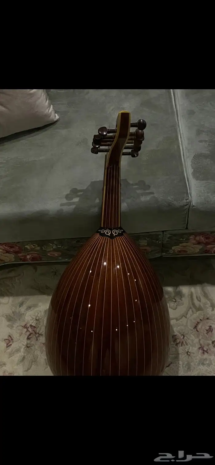 عود زرياب عراقي 3