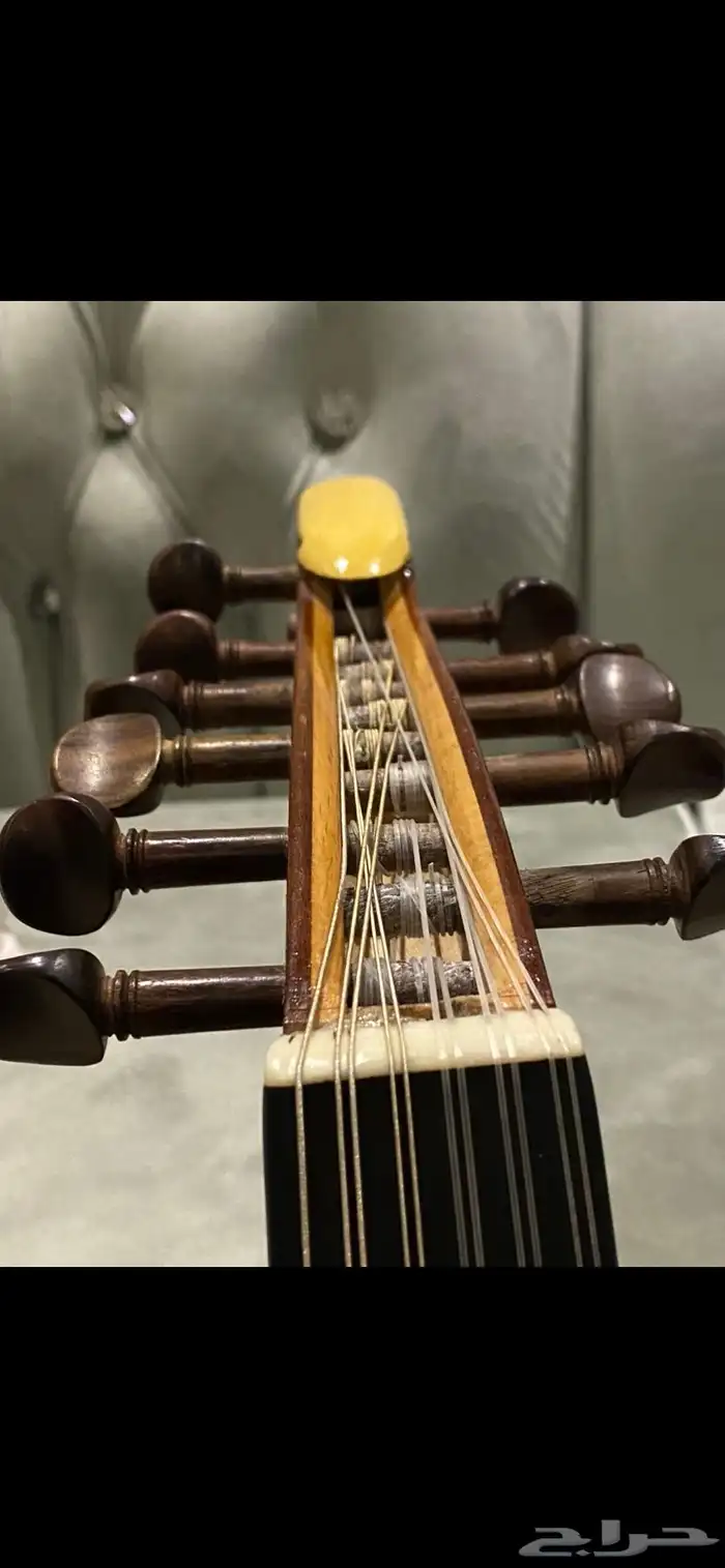 عود زرياب عراقي 1