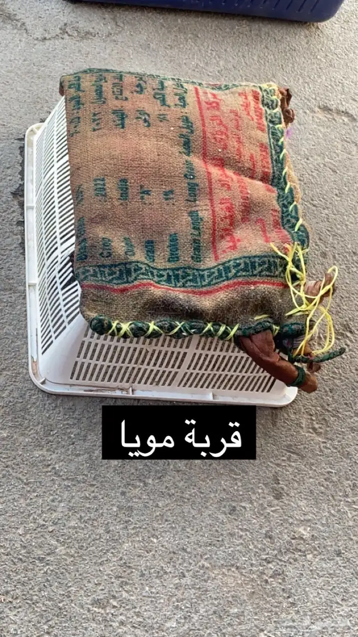 قربة مويا   صميل لبن 0