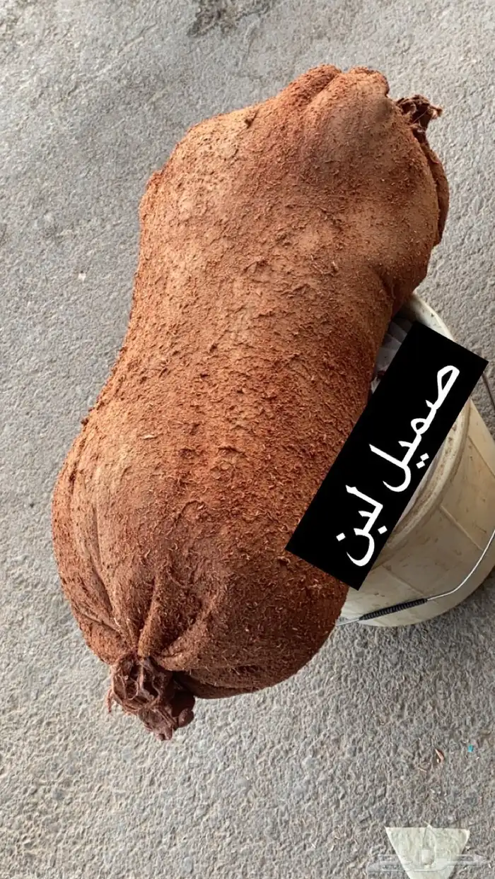 سمن غنم  سمن بقر  لبن غنم لبن بقر  بقل  زبده غنم  زبده بقر 4
