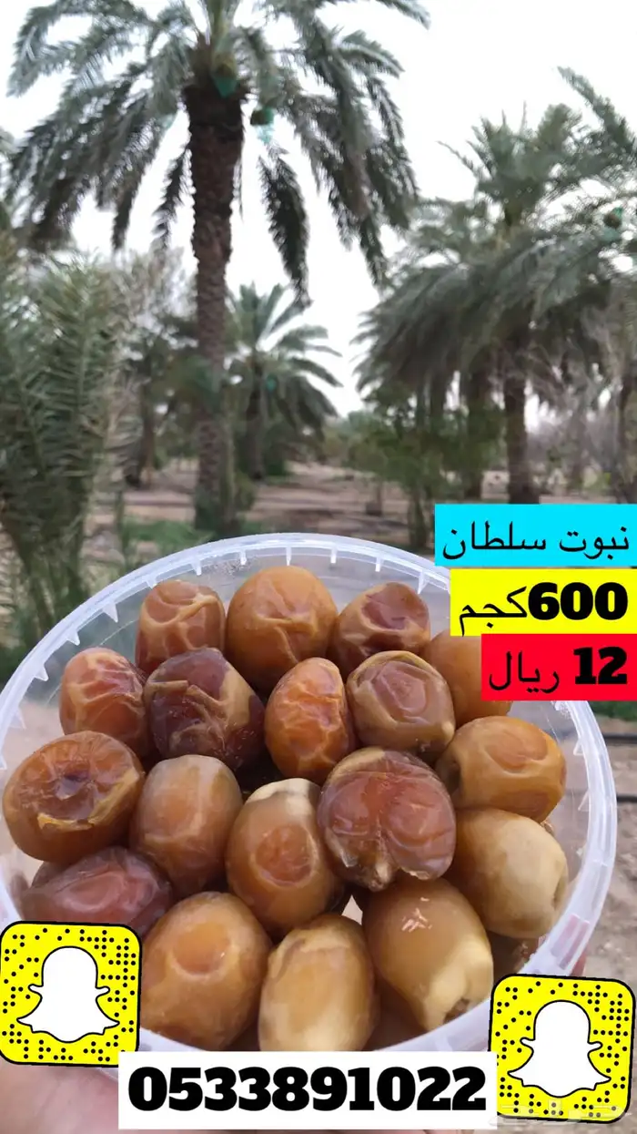 كل انواع التمور( خراف - كنيز - رطب -فله ) و الطحينة والدبس 22