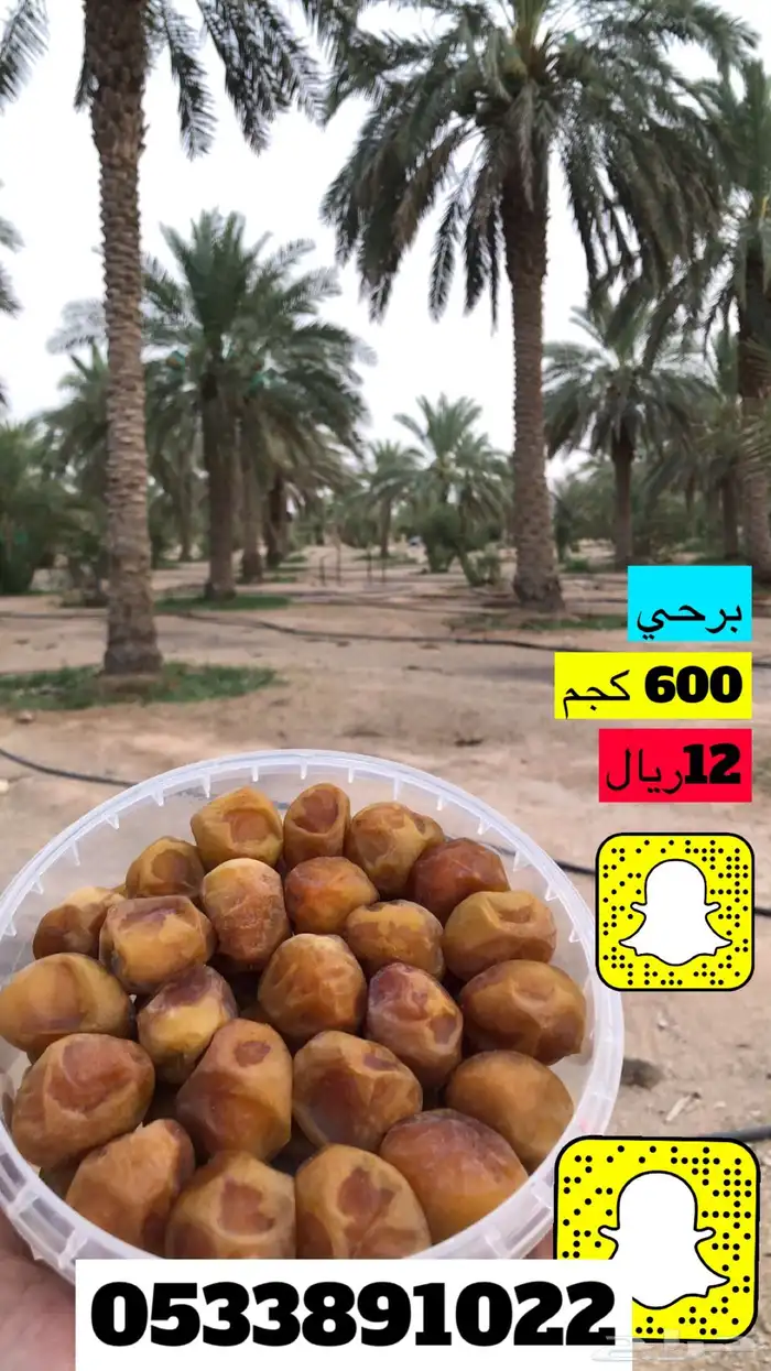 كل انواع التمور( خراف - كنيز - رطب -فله ) و الطحينة والدبس 25