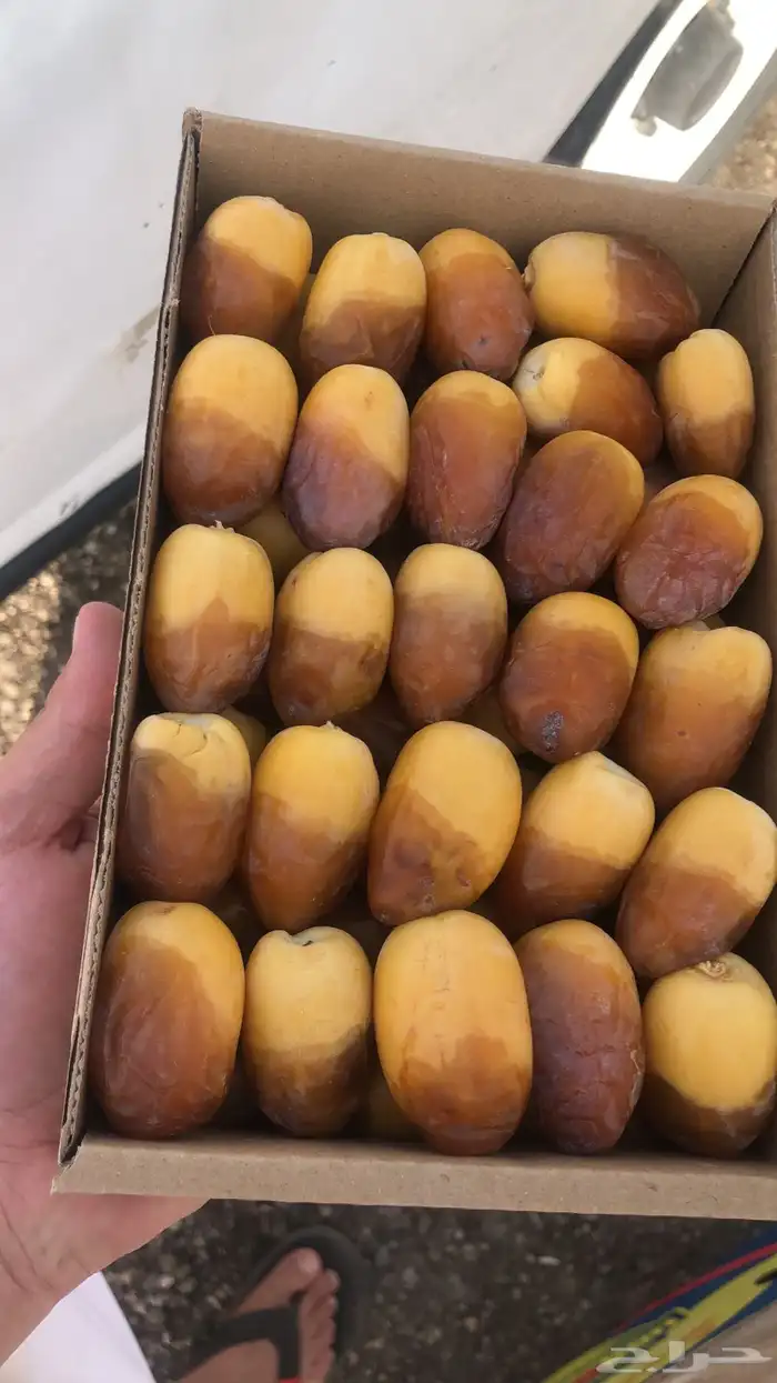 كل انواع التمور( خراف - كنيز - رطب -فله ) و الطحينة والدبس 17