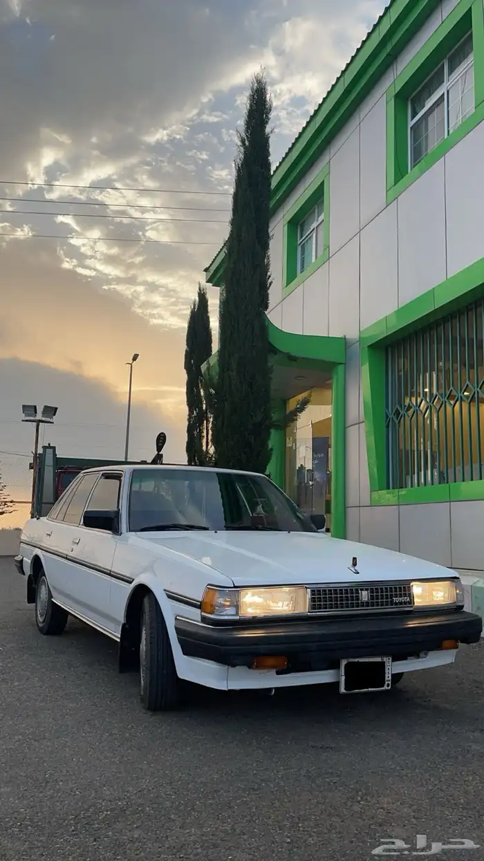 كرسيدا 88 XL مجدد بالكامل 5