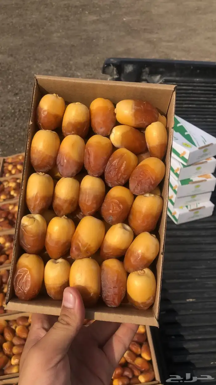 كل انواع التمور( خراف - كنيز - رطب -فله ) و الطحينة والدبس 16