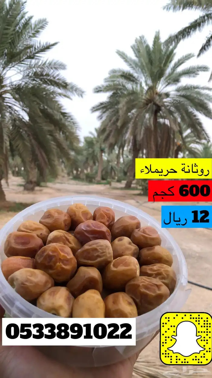 كل انواع التمور( خراف - كنيز - رطب -فله ) و الطحينة والدبس 23