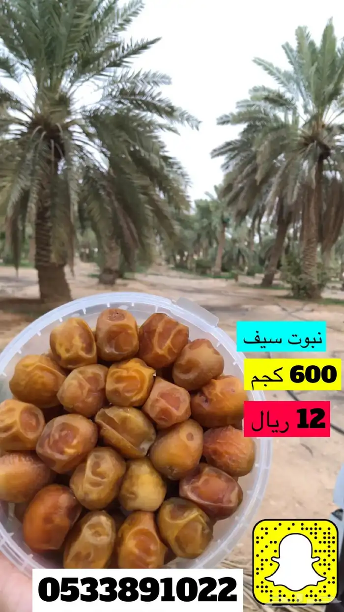 كل انواع التمور( خراف - كنيز - رطب -فله ) و الطحينة والدبس 24